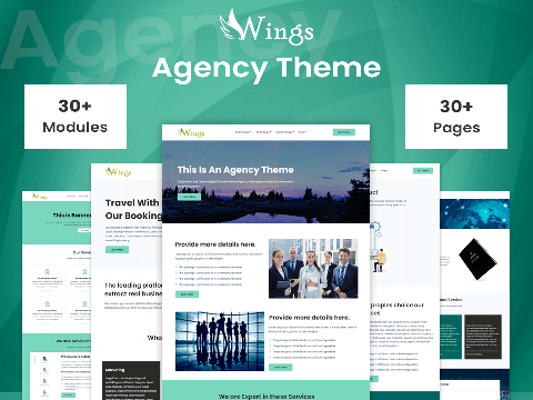 Agency