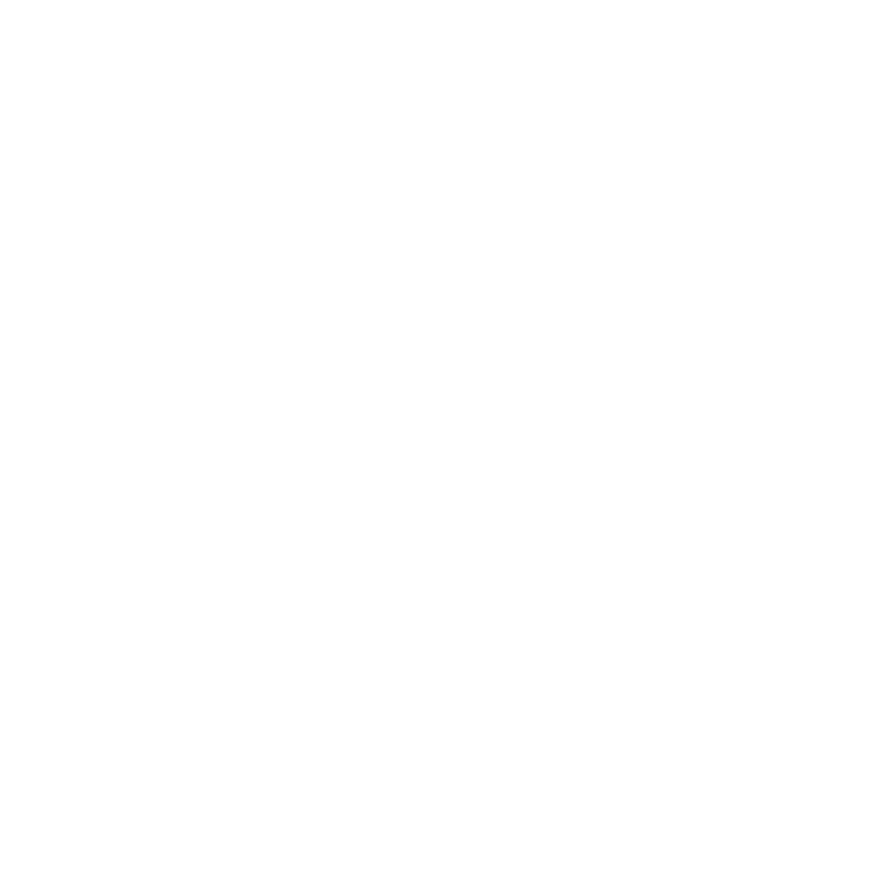 House Letting Icon