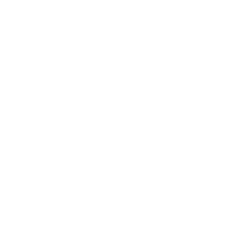 Student Accom Icon